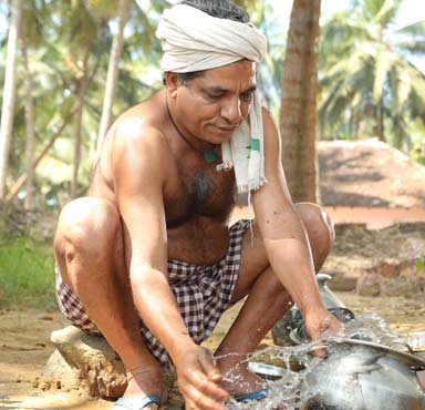Jaffer Idukki
